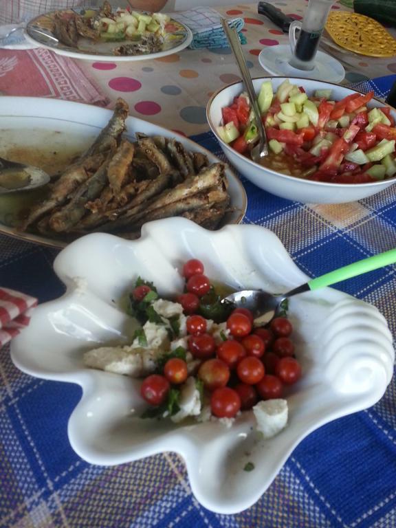 Bellavista Peljesac Peninsula Bed and Breakfast Dubrava  Buitenkant foto